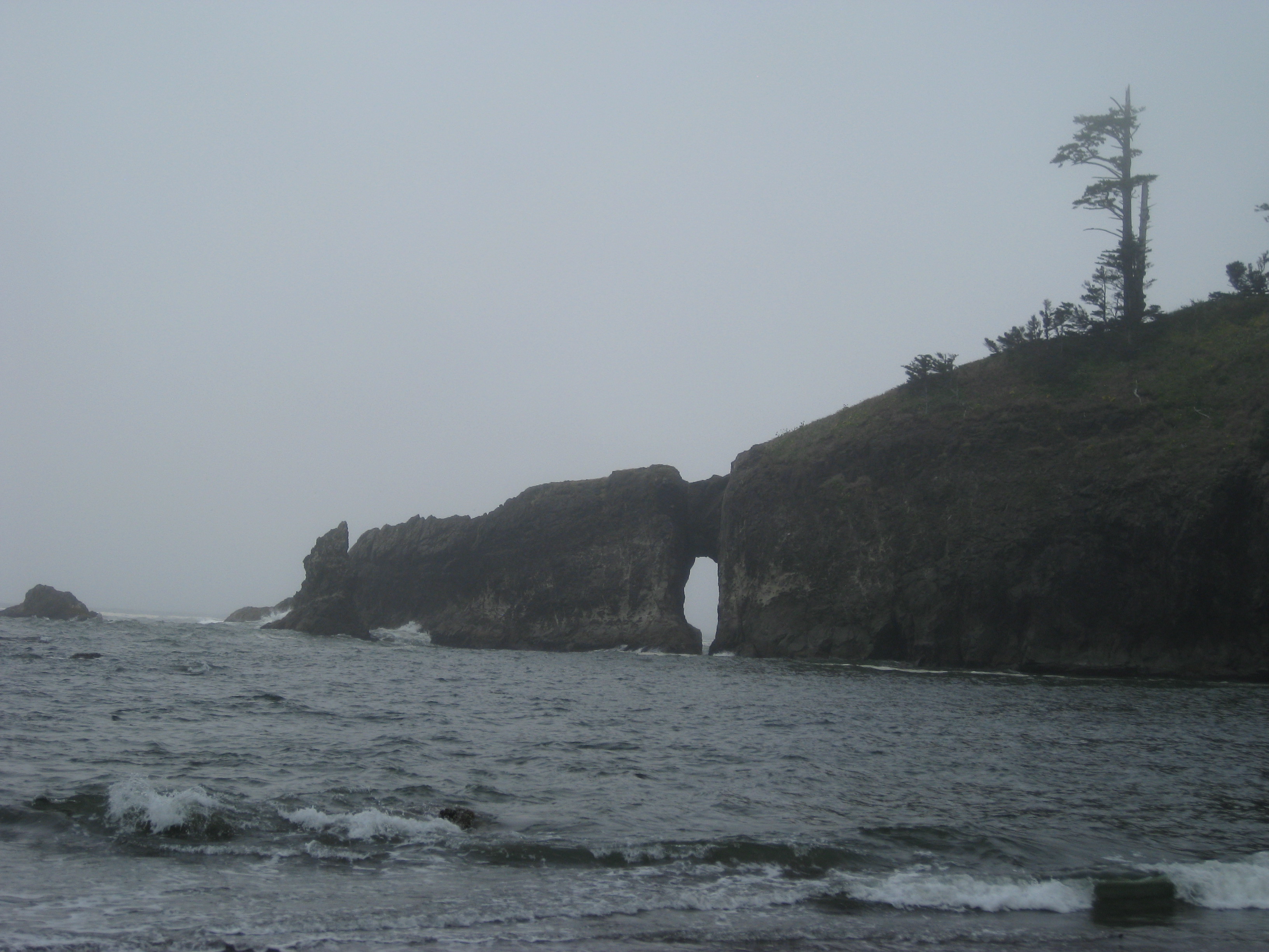 Olympic NP